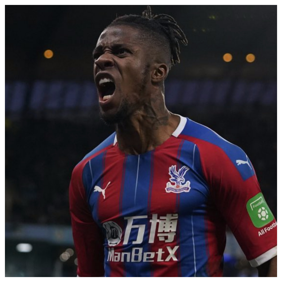 Crystal Palace vs Newcastle United Prediction, 1/21/2023 EPL Soccer Pick, Tips and Odds