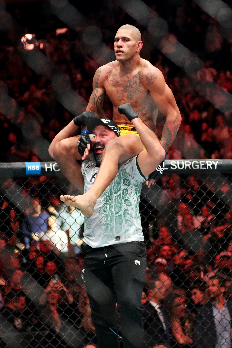 ufc picks Alex Pereira ufc predictions best bet odds