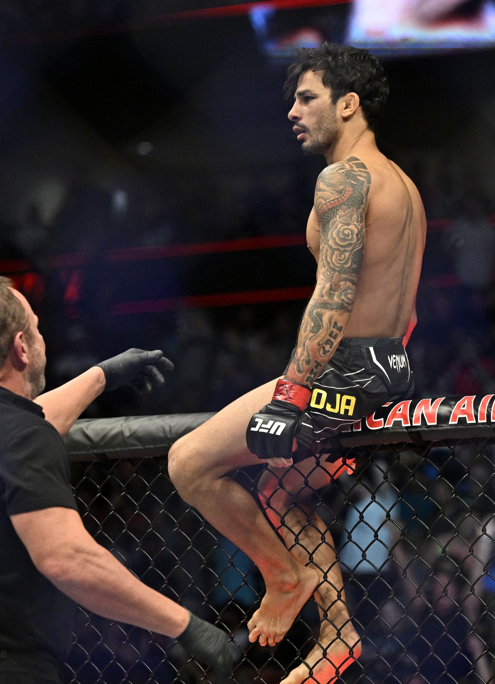 ufc picks Alexandre Pantoja ufc predictions best bet odds