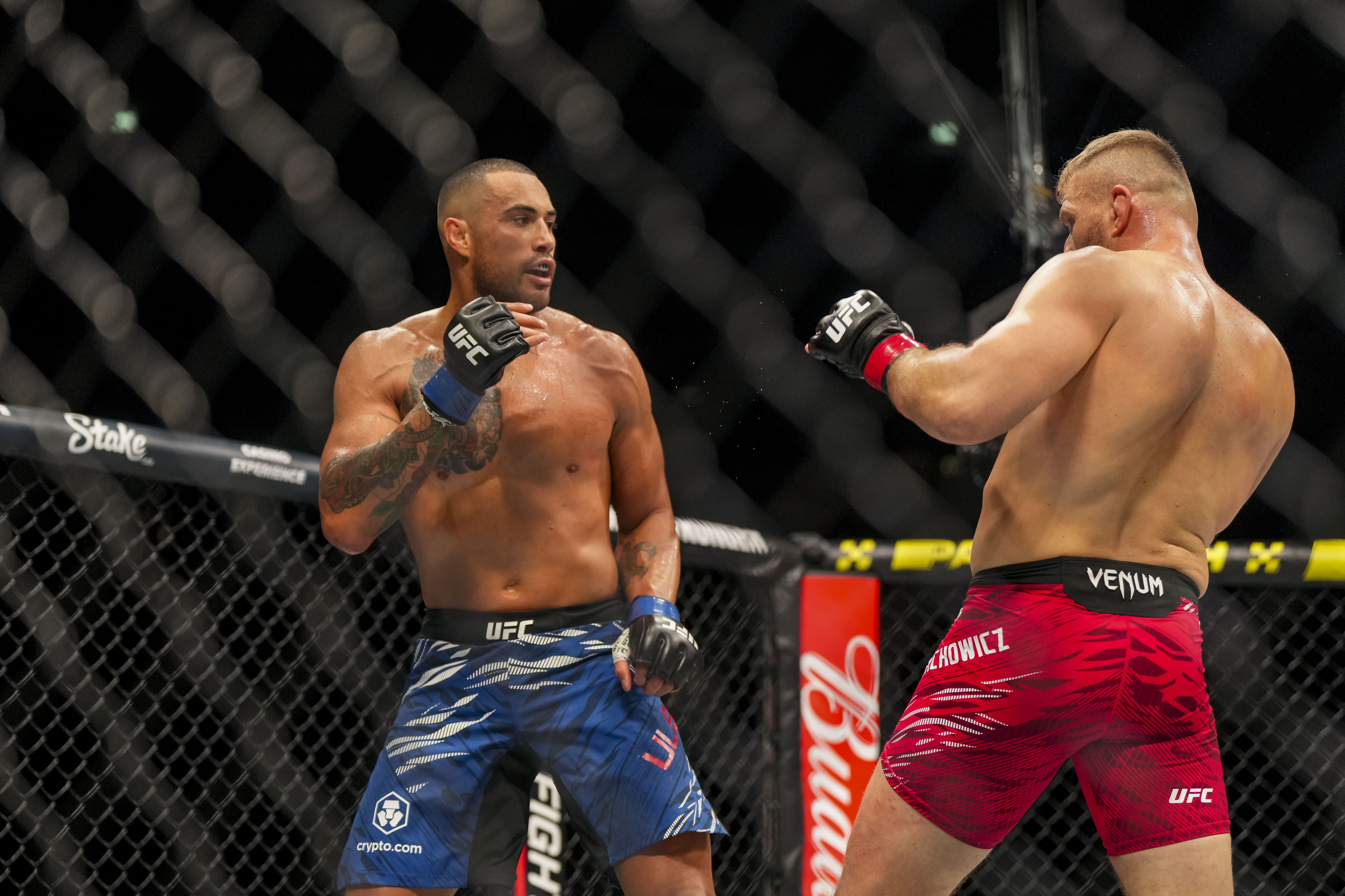 ufc picks Carlos Ulberg ufc predictions best bet odds