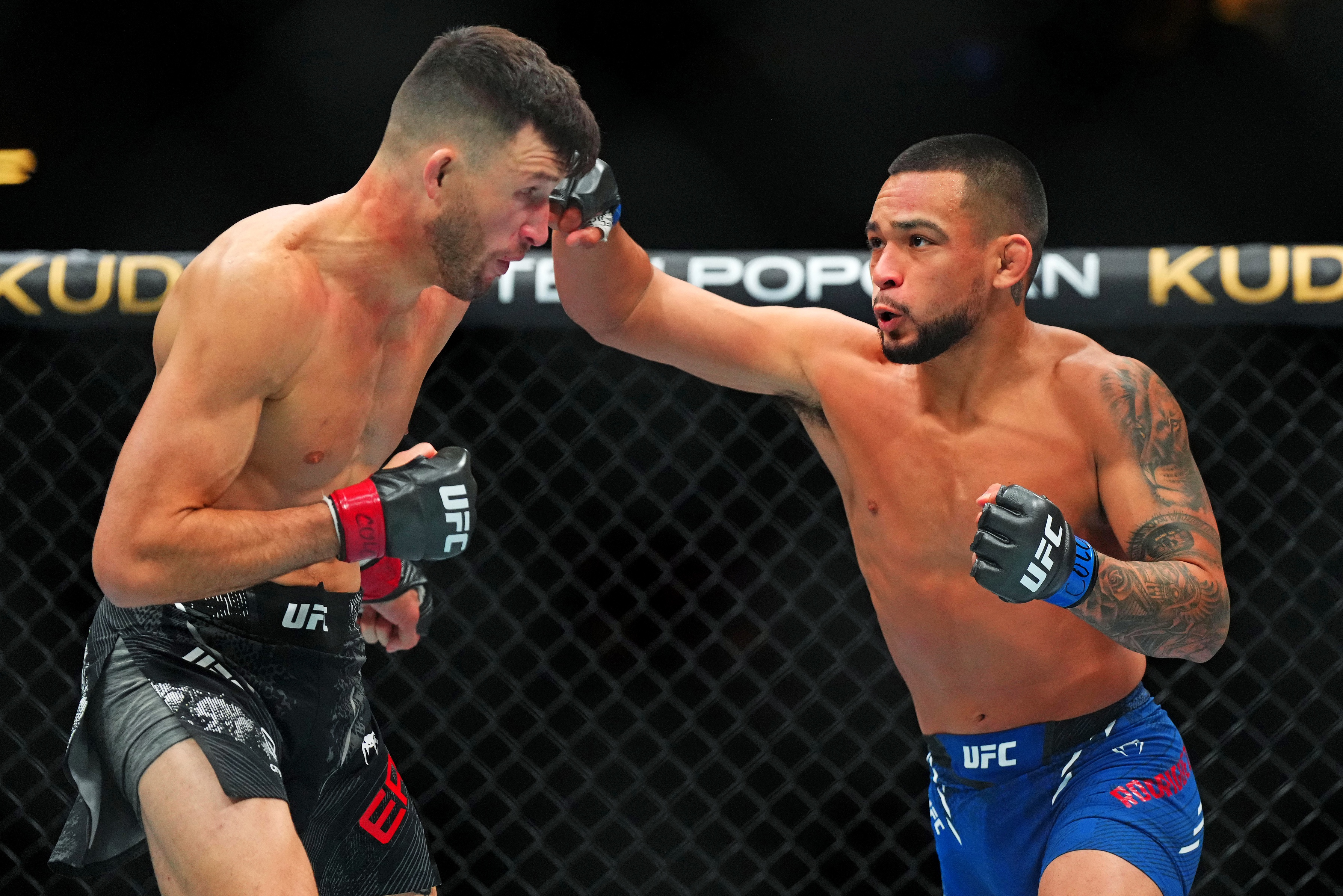 ufc picks Christian Rodriguez ufc predictions best bet odds