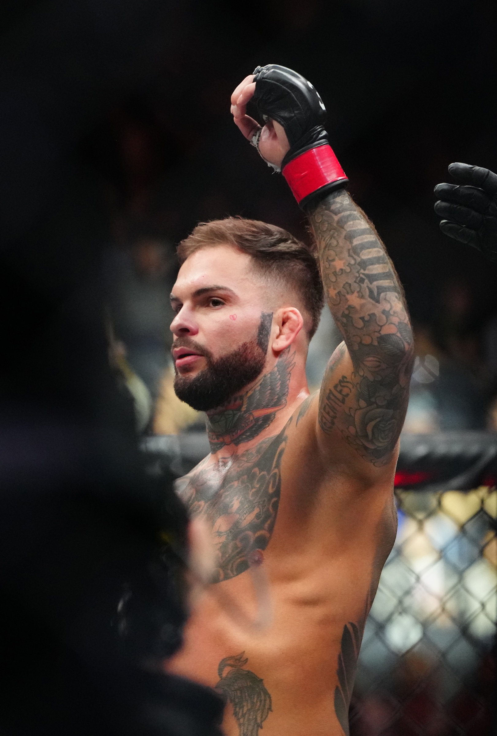 ufc picks Cody Garbrandt ufc predictions best bet odds