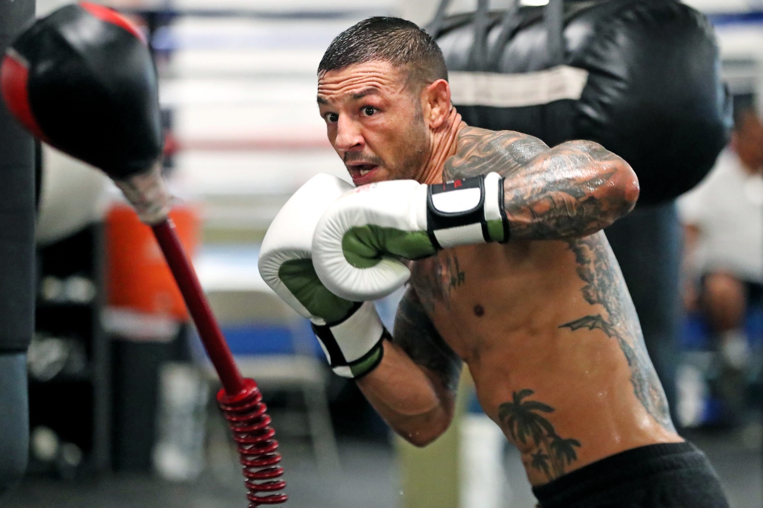 ufc picks Cub Swanson ufc predictions best bet odds