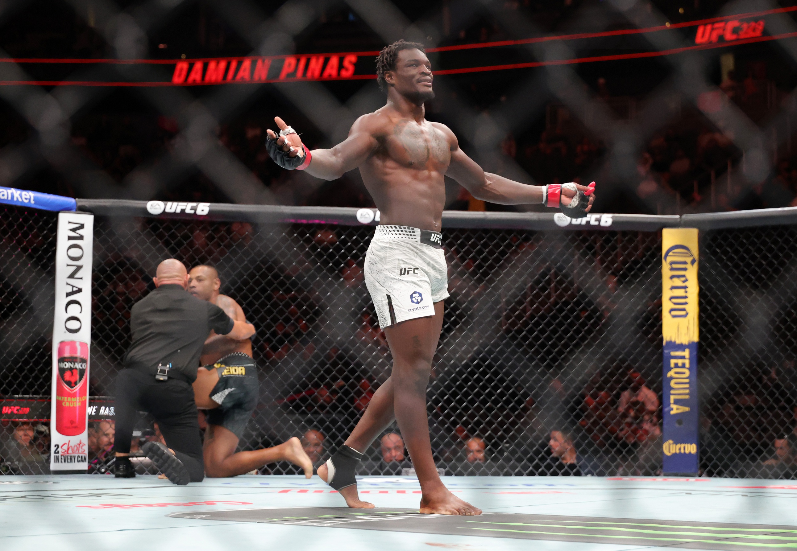 ufc picks Damian Pinas predictions best bet odds