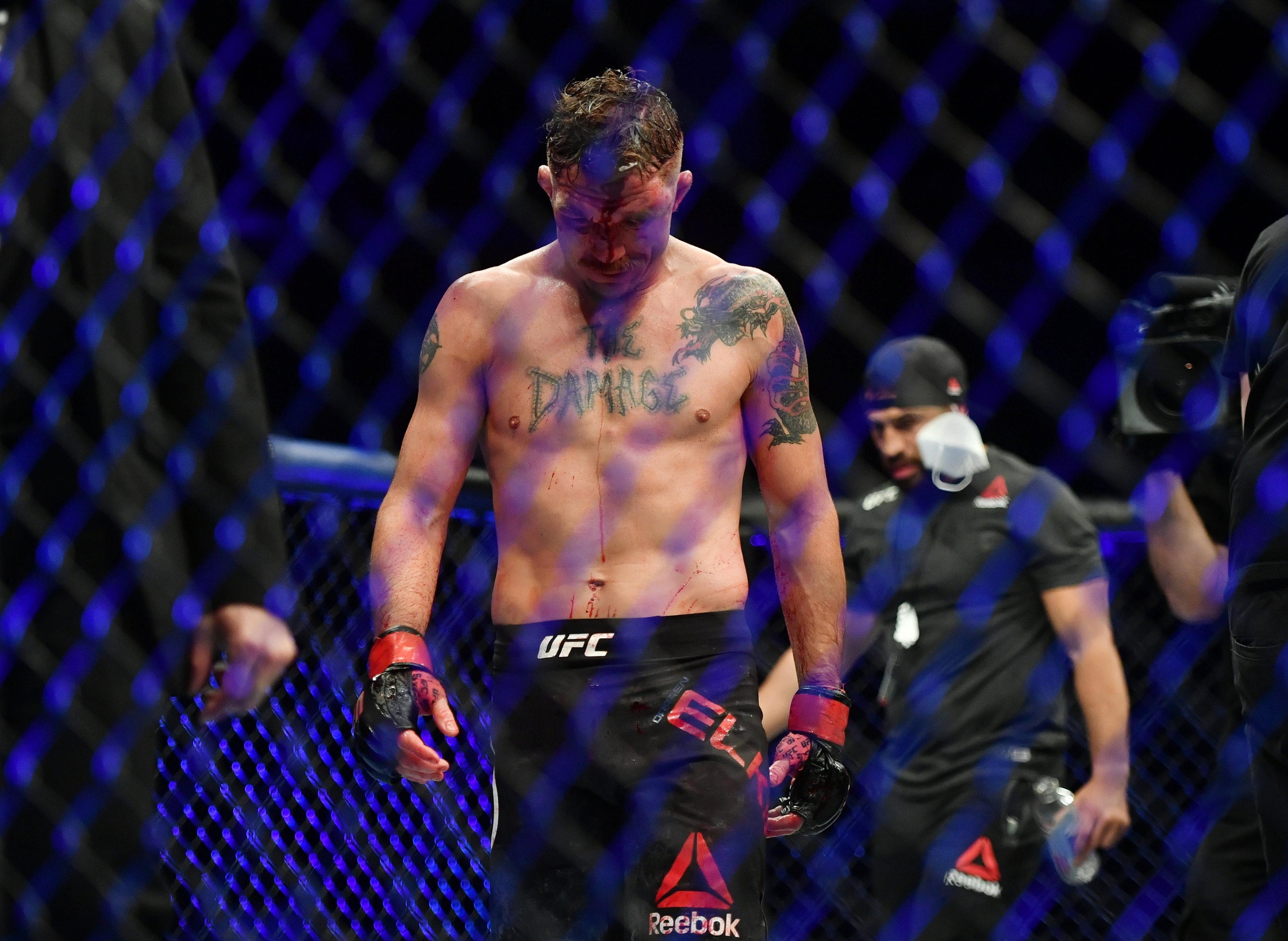 ufc picks Darren Elkins predictions best bet odds