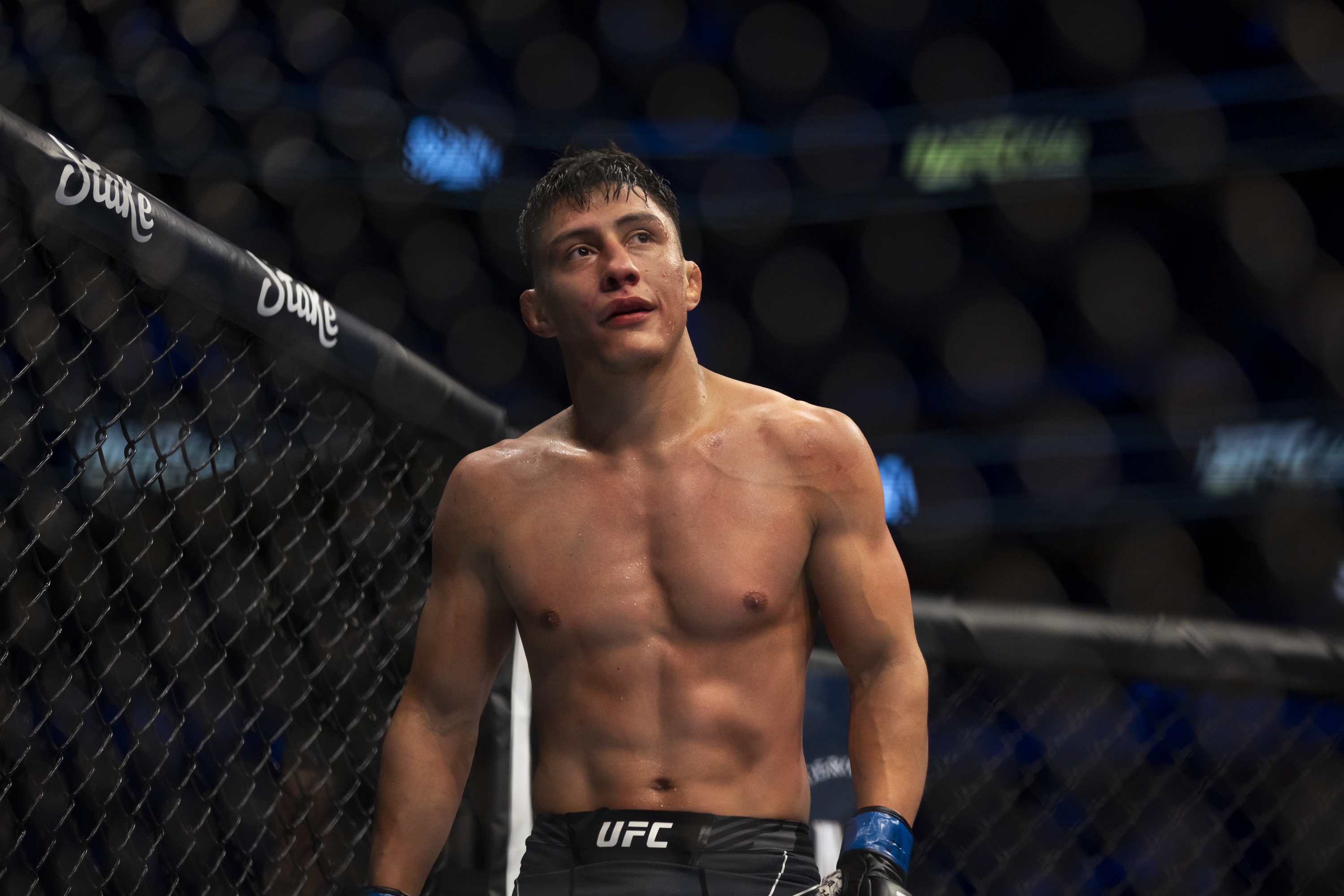 ufc picks fernie garcia predictions best bet odds