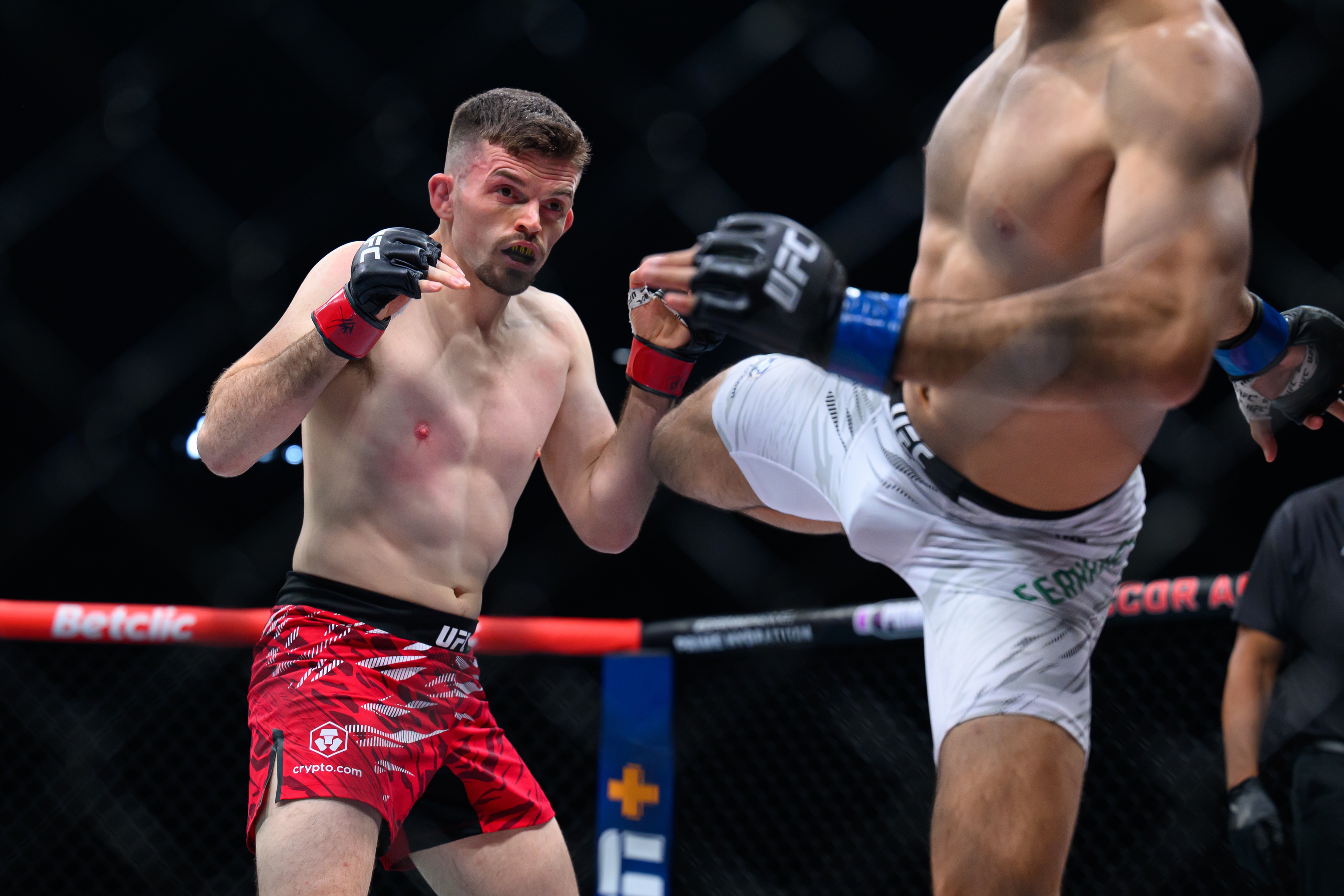 ufc picks Harry Hardwick predictions best bet odds