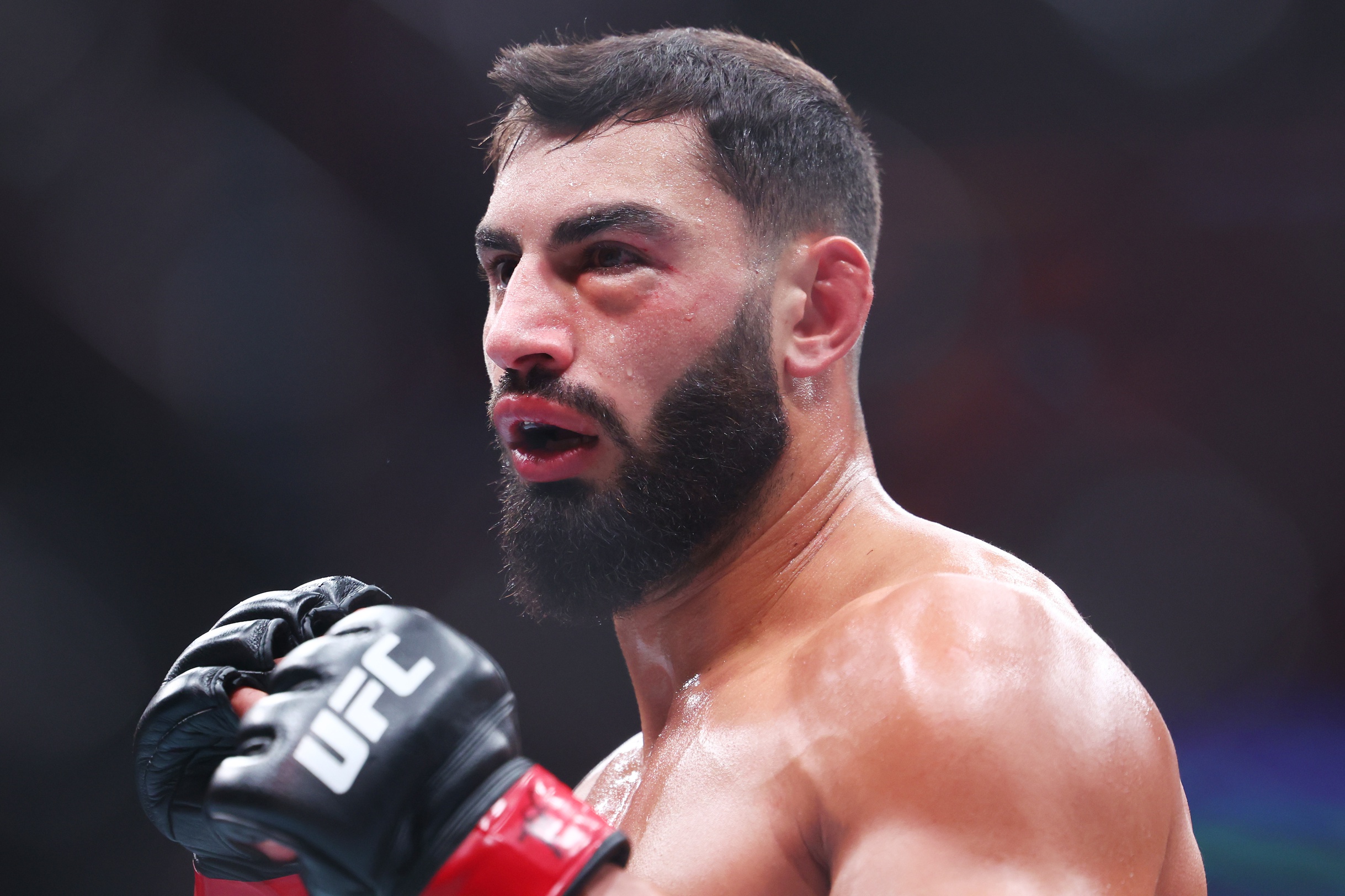 ufc picks Ibo Aslan ufc predictions best bet odds