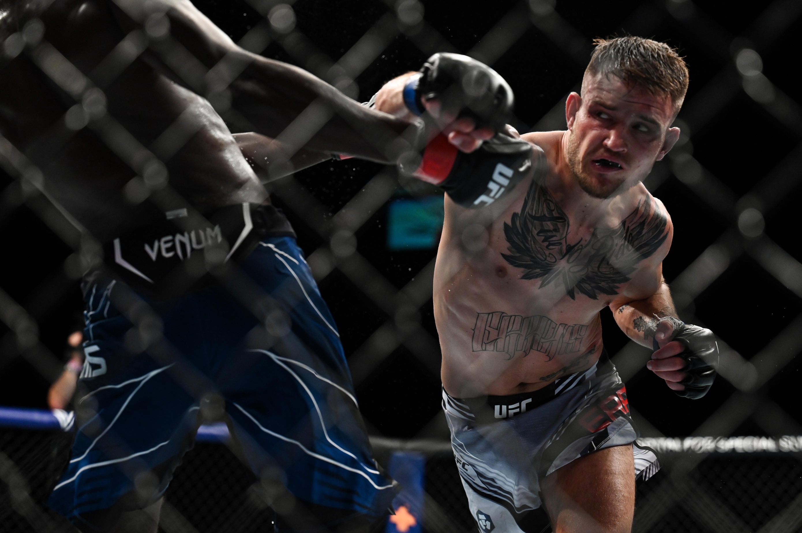 ufc picks Jarno Errens ufc predictions best bet odds