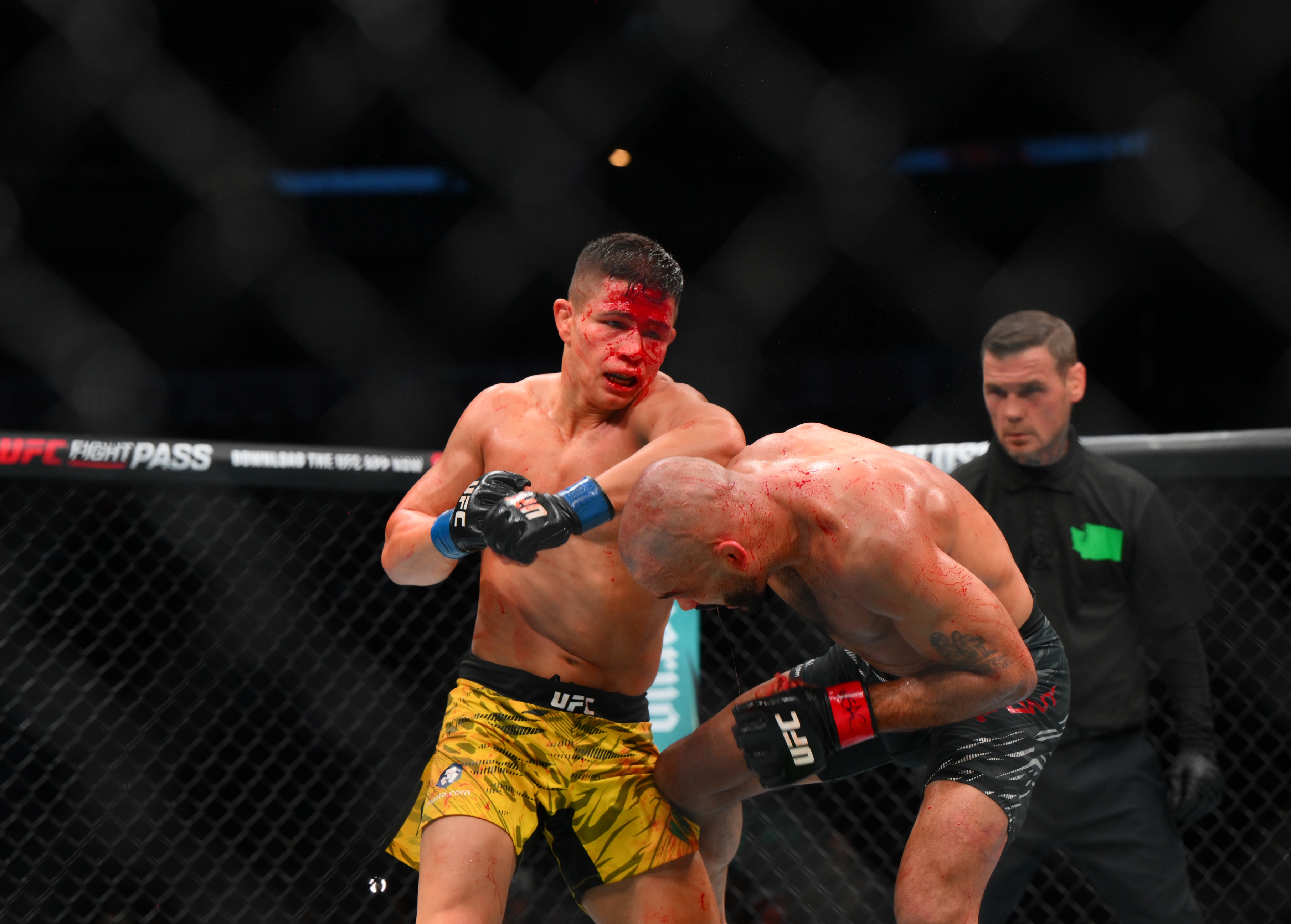 ufc picks Jean Matsumoto predictions best bet odds