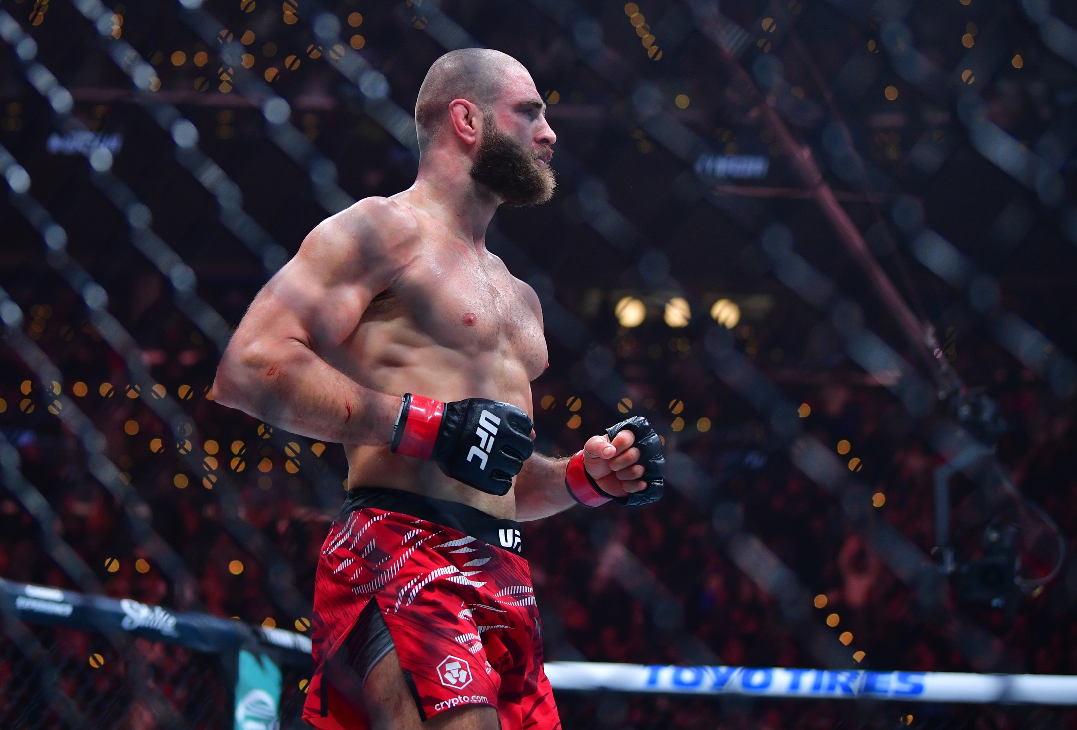 ufc picks Jiri Prochazka ufc predictions best bet odds