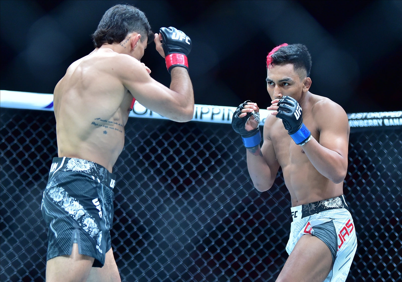 ufc picks Kevin Borjas predictions best bet odds