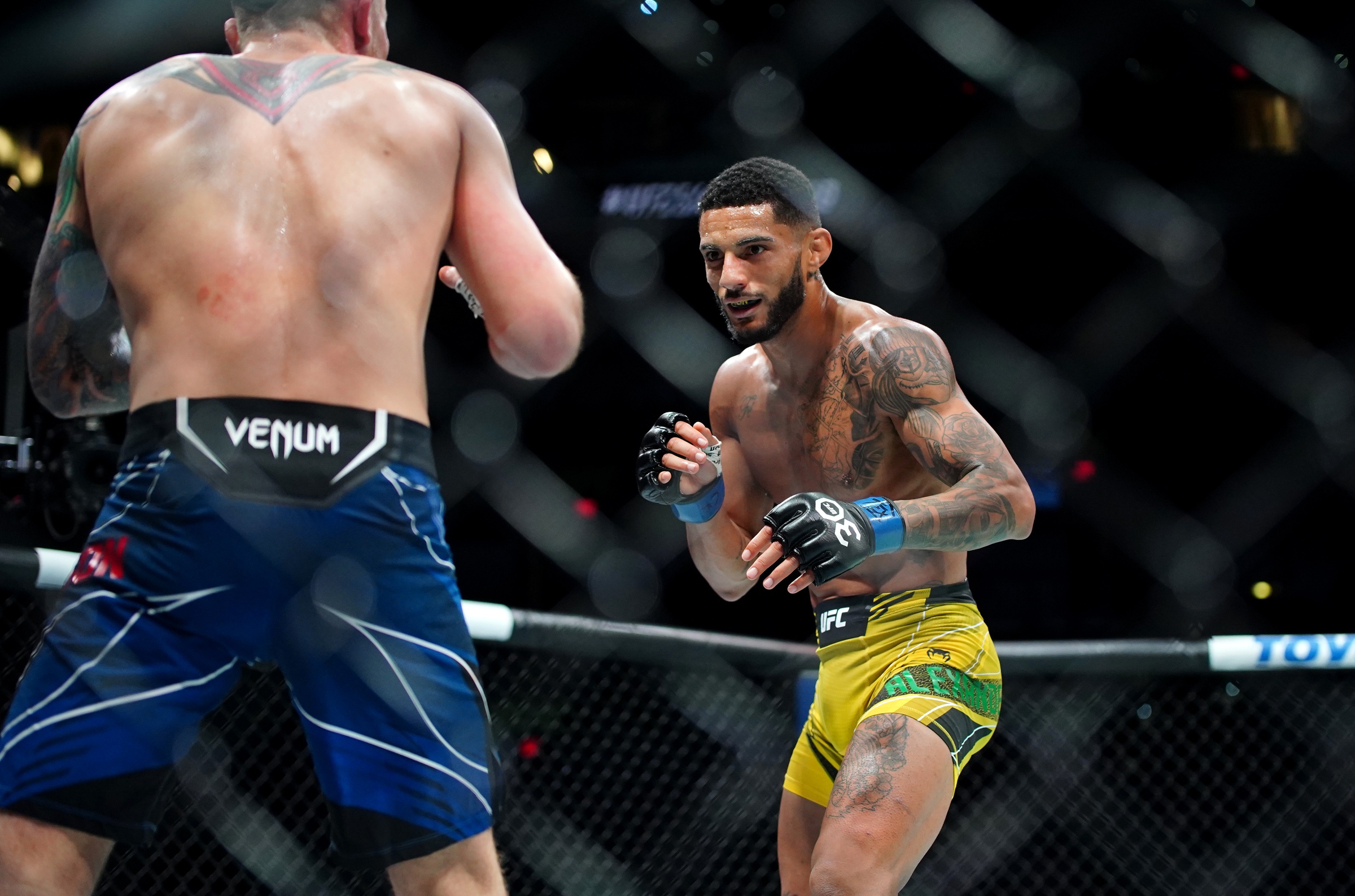 ufc picks Lucas Alexander ufc predictions best bet odds