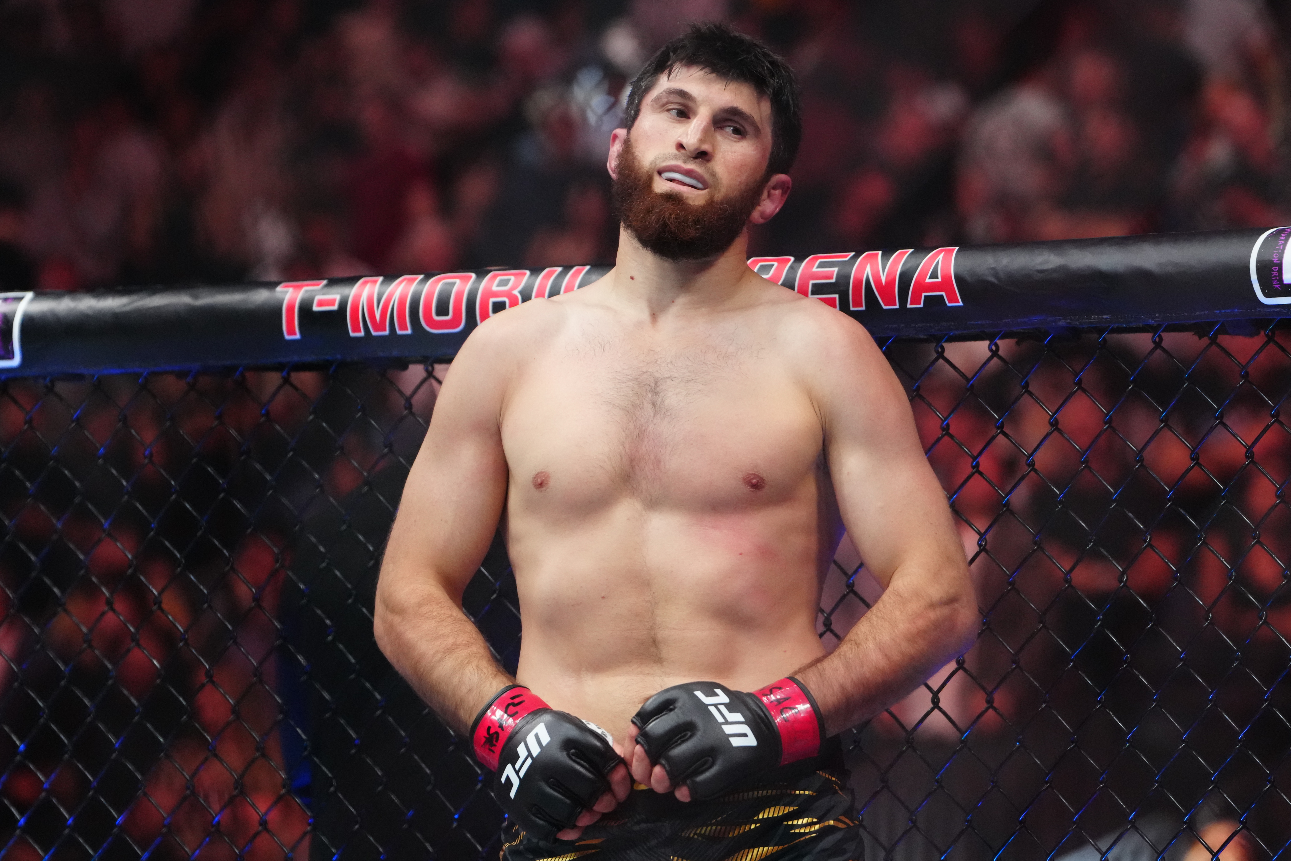 ufc picks Magomed Ankalaev predictions best bet odds