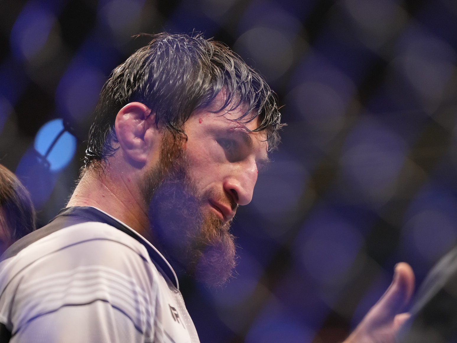 ufc picks Magomed Ankalaev ufc predictions best bet odds