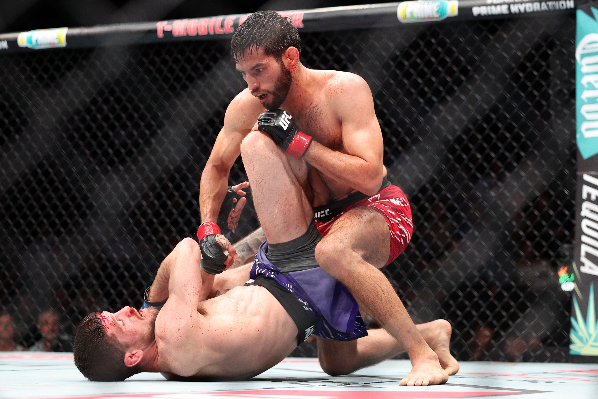 ufc picks Matt Schnell predictions best bet odds