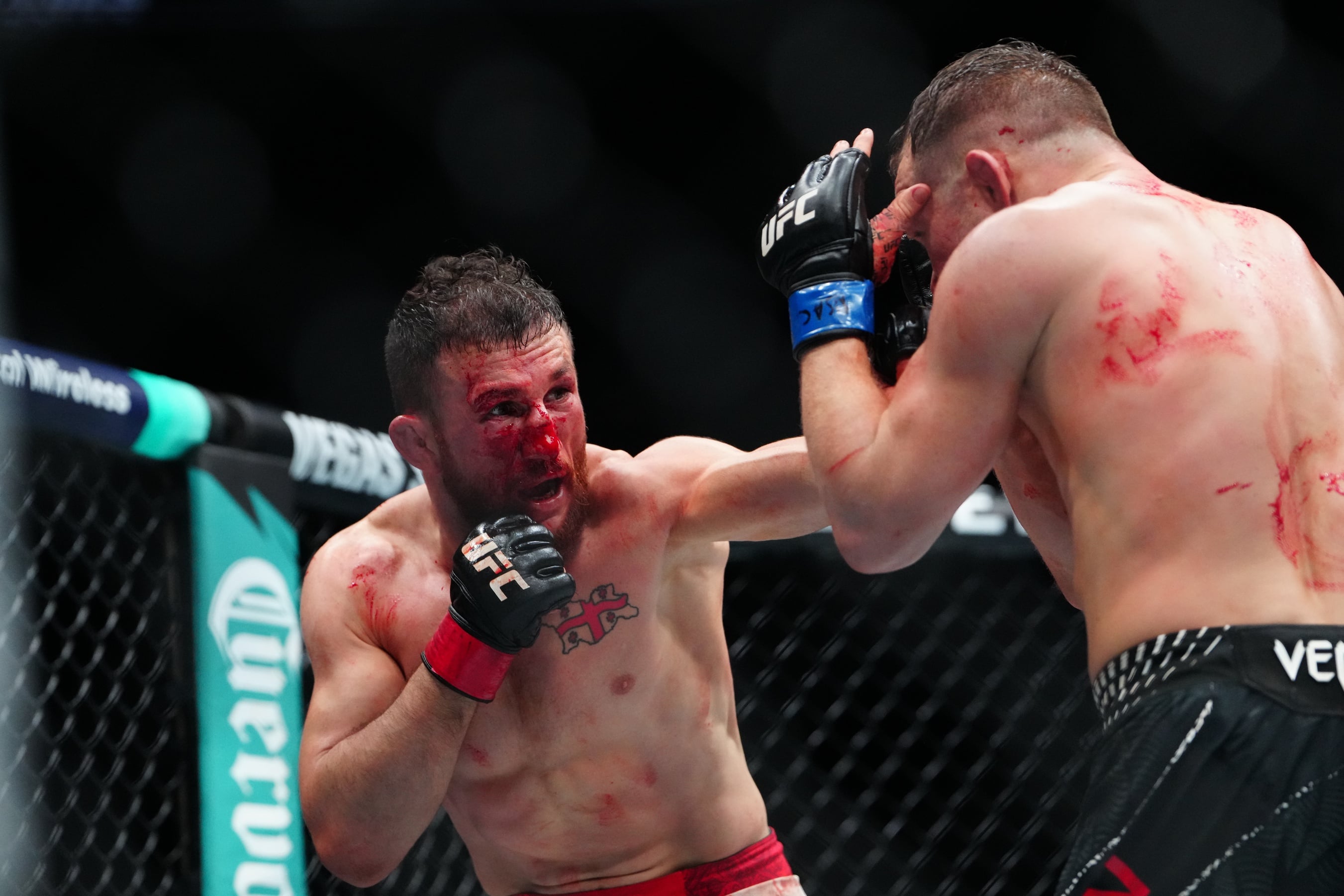 ufc picks Merab Dvalishvili predictions best bet odds