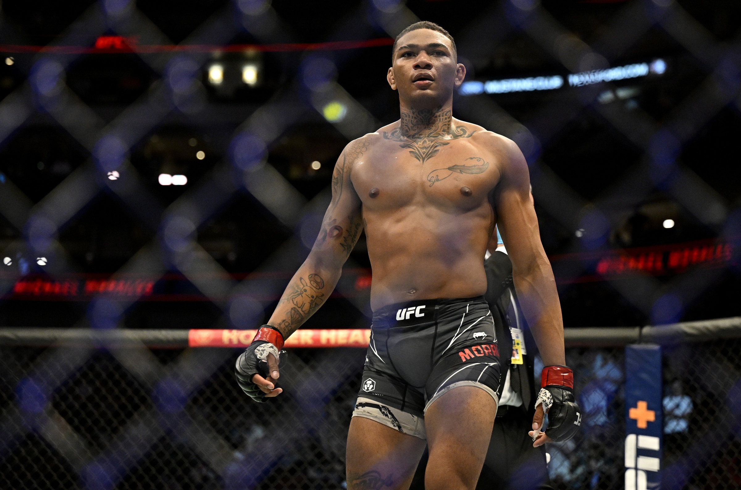 ufc picks Michael Morales ufc predictions best bet odds