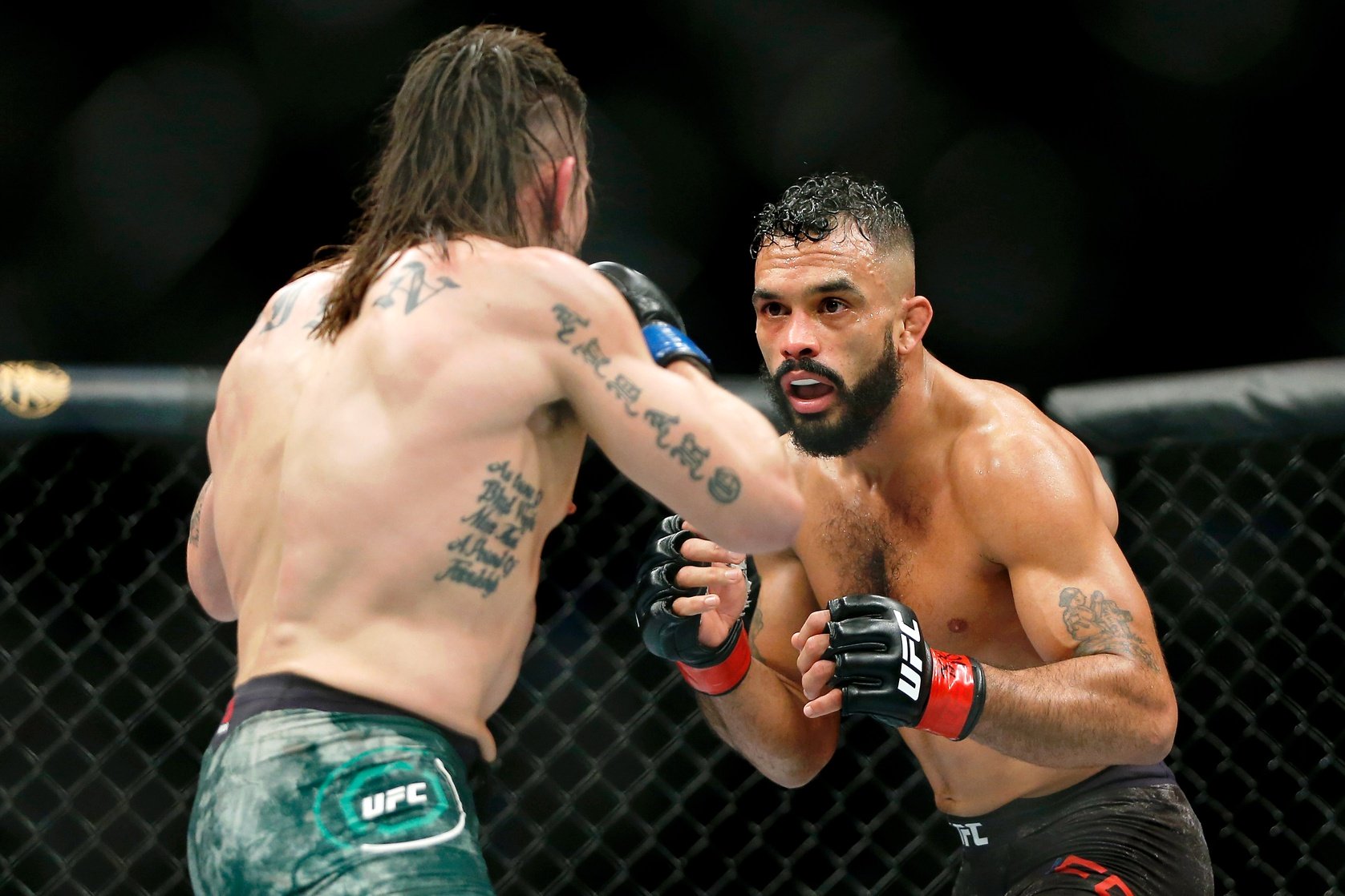 ufc picks Rob Font ufc predictions best bet odds