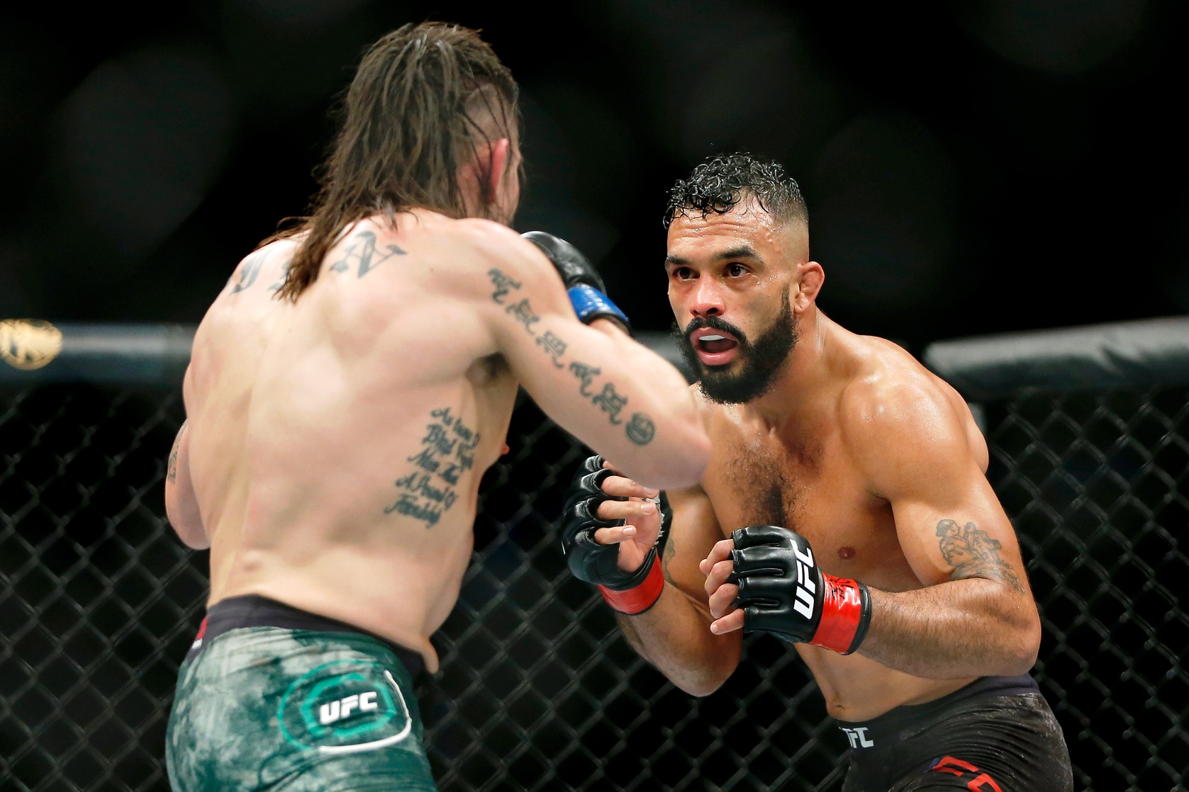 ufc picks Rob Font ufc predictions best bet odds