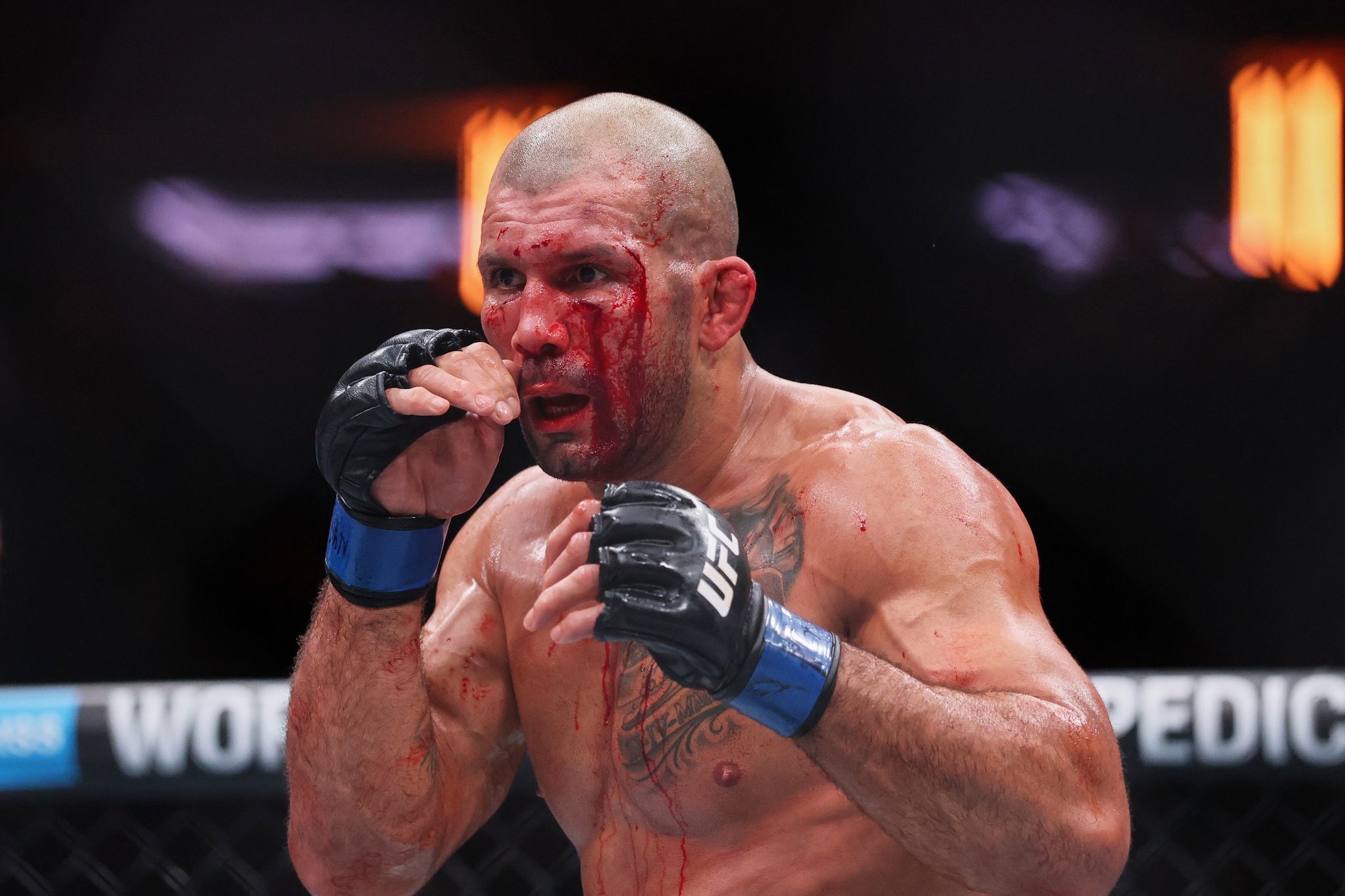 ufc picks Rodolfo Vieira predictions best bet odds