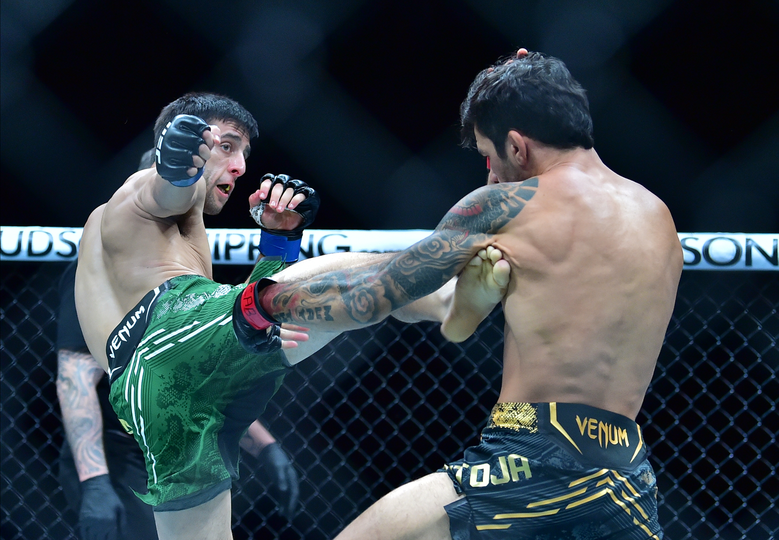 ufc picks Steve Erceg predictions best bet odds