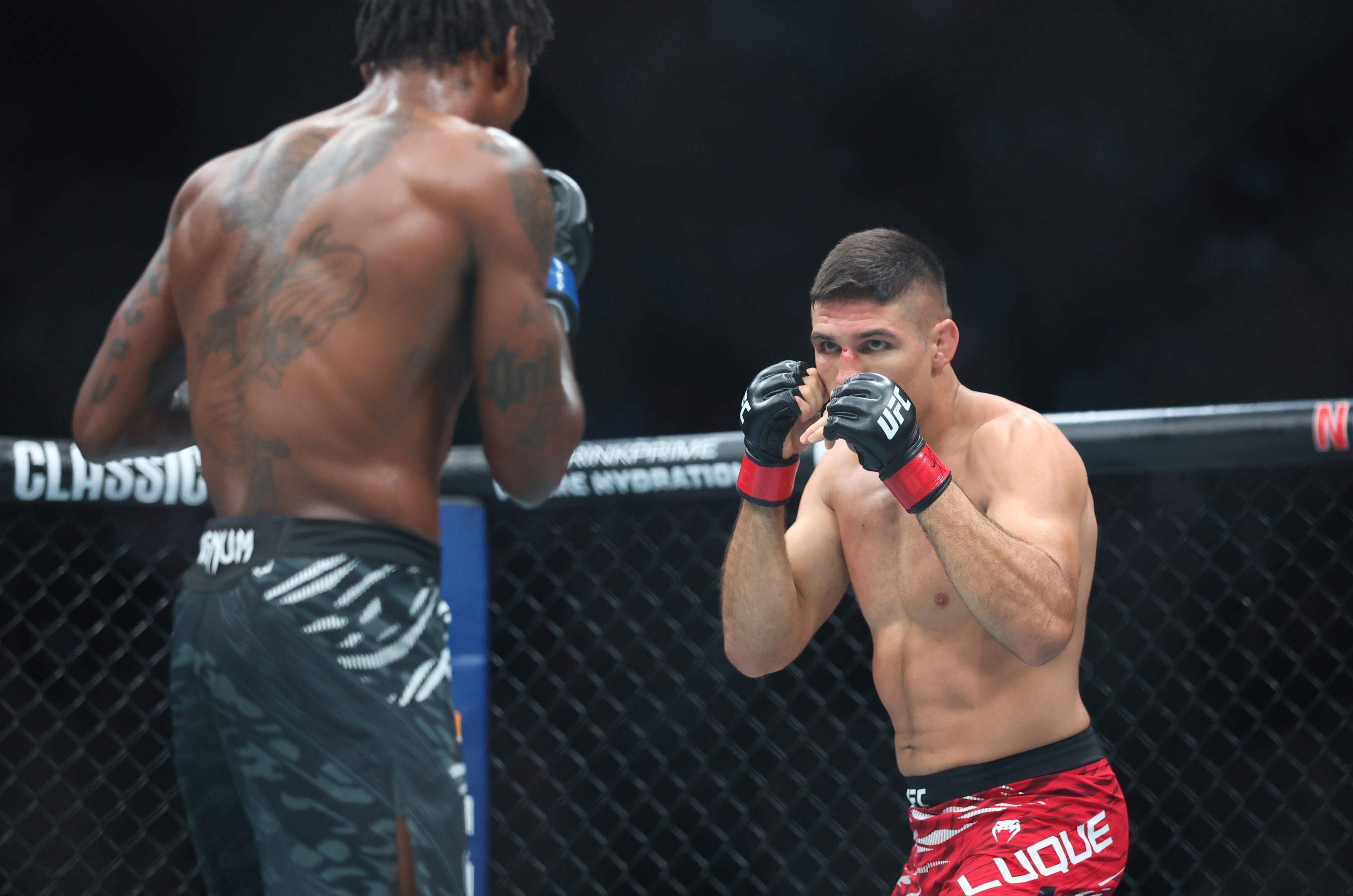 ufc picks Vicente Luque predictions best bet odds