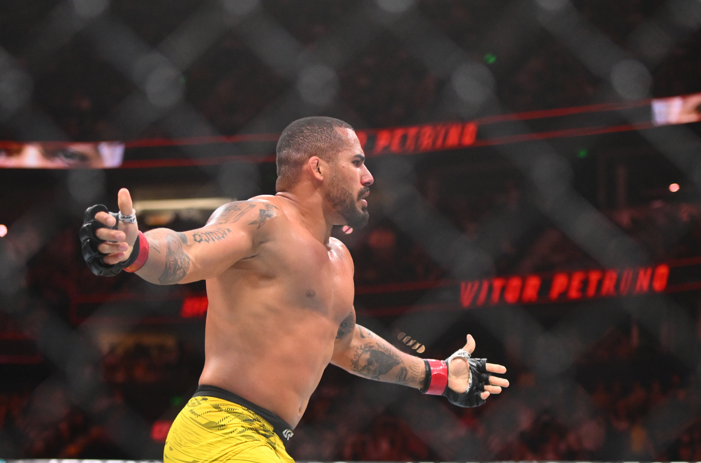 ufc picks Vitor Petrino ufc predictions best bet odds