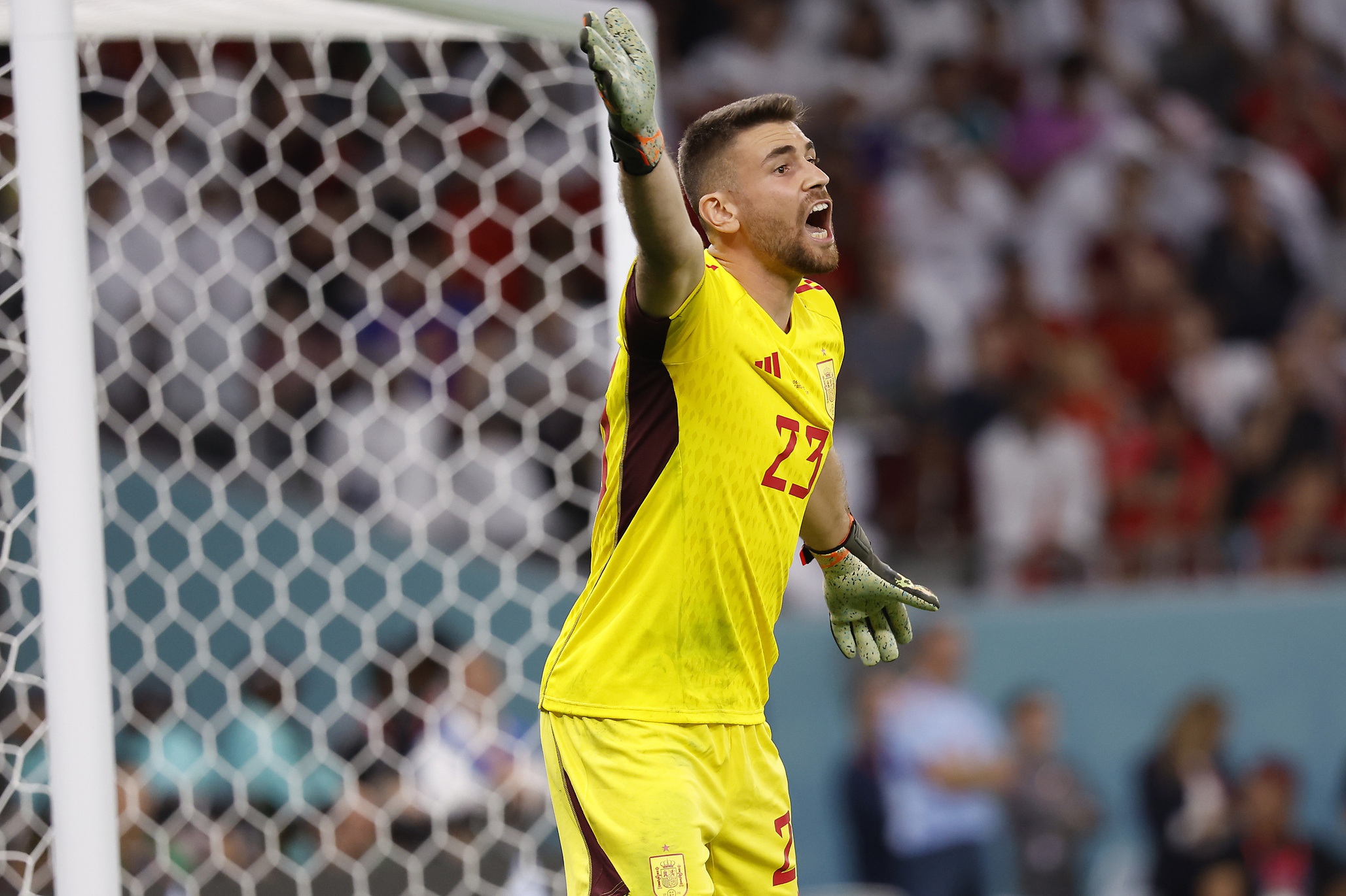 World Cup soccer Group H predictions Unai Simon Spain