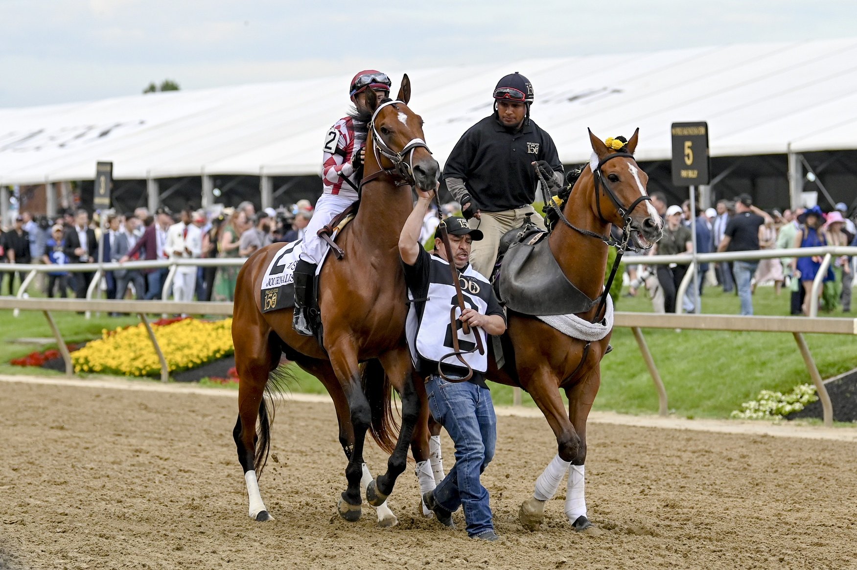Best trifecta bets for the Preakness Stakes