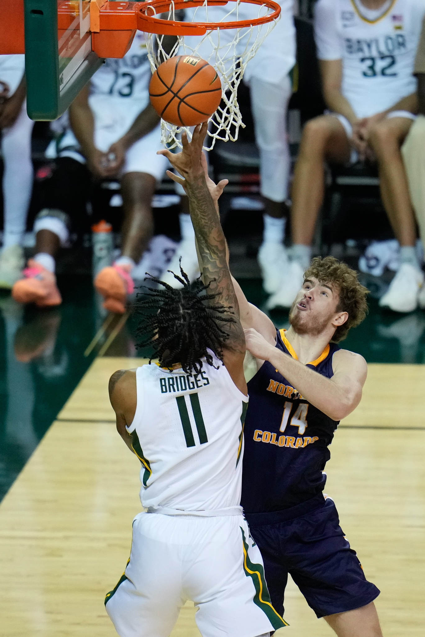 college basketball picks Brock Wisne Northern Colorado Bears predictions best bet odds