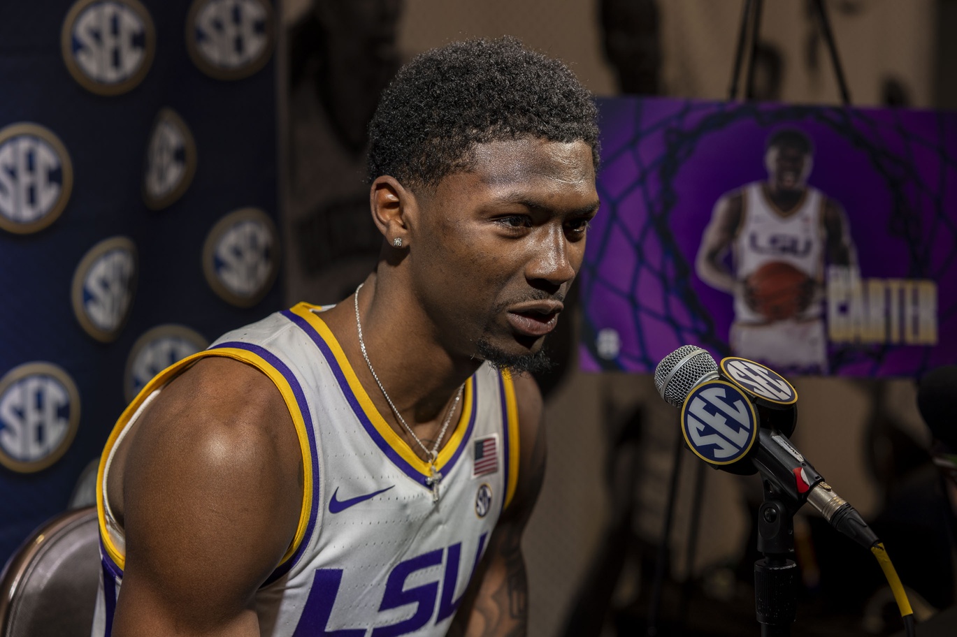 Alabama State vs LSU Tigers Prediction, 11/10/2024 College