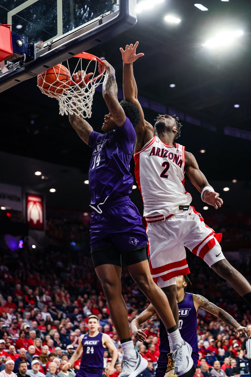 college basketball picks Christian Alston Abilene Christian Wildcats predictions best bet odds