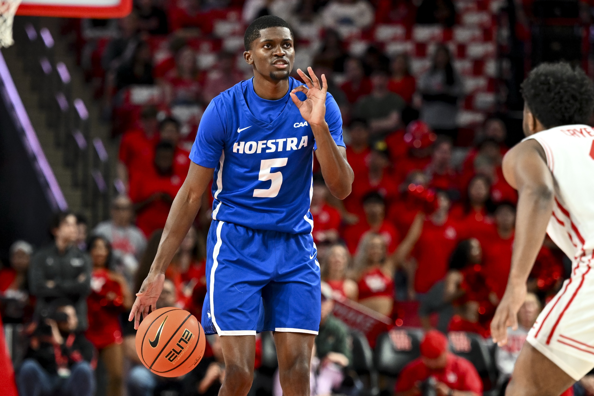college basketball picks Cruz Davis Hofstra Pride predictions best bet odds