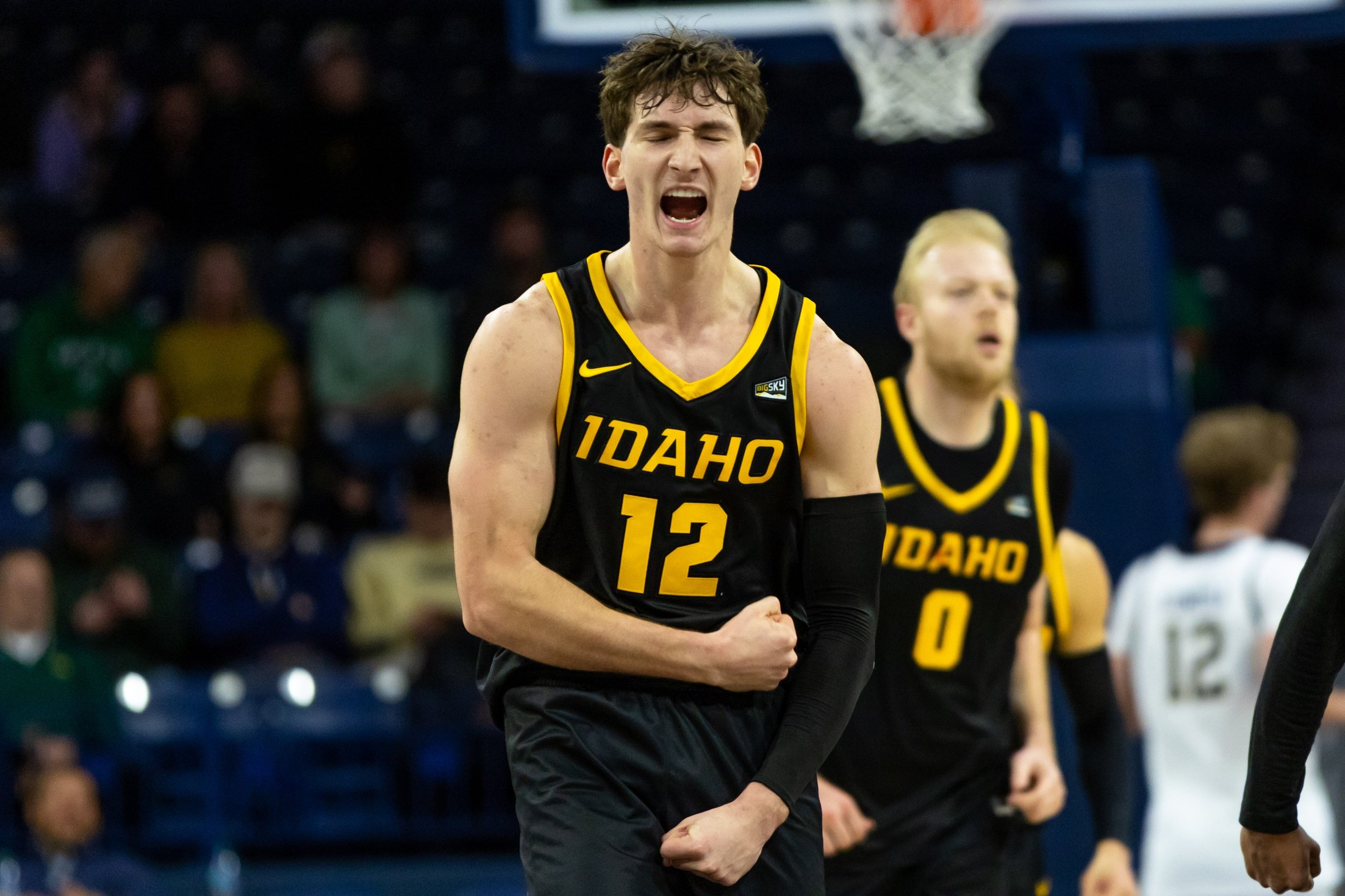 college basketball picks Jackson Rasmussen Idaho Vandals predictions best bet odds