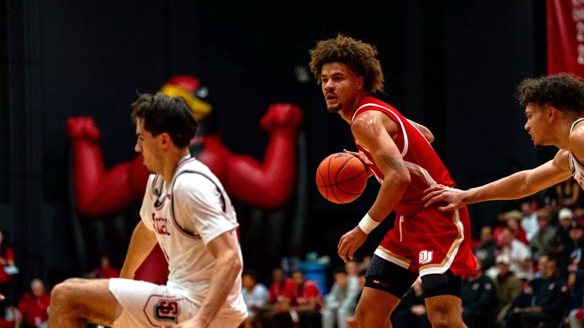 college basketball picks Jeremiah Burke Denver Pioneers predictions best bet odds