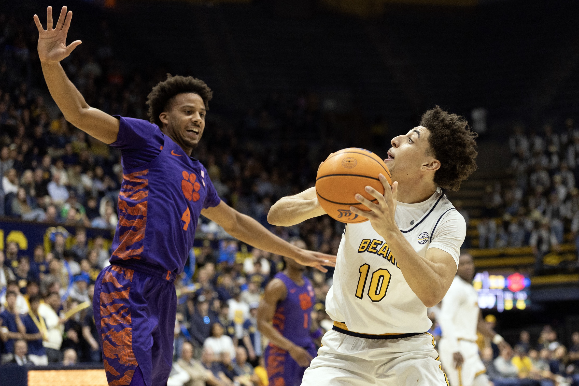 college basketball picks Justin Pippen California Golden Bears predictions best bet odds