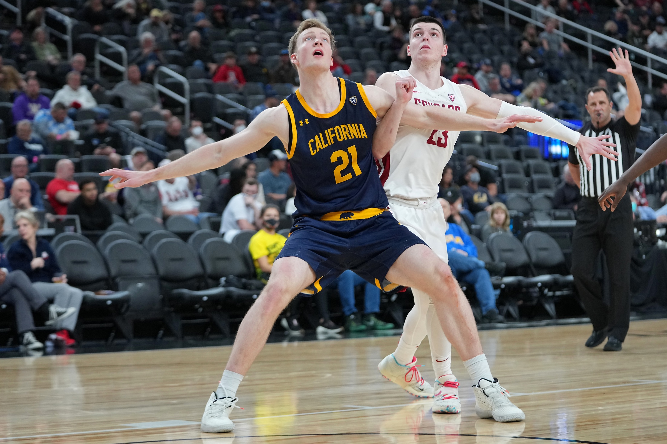 college basketball picks Lars Thiemann California Golden Bears predictions best bet odds