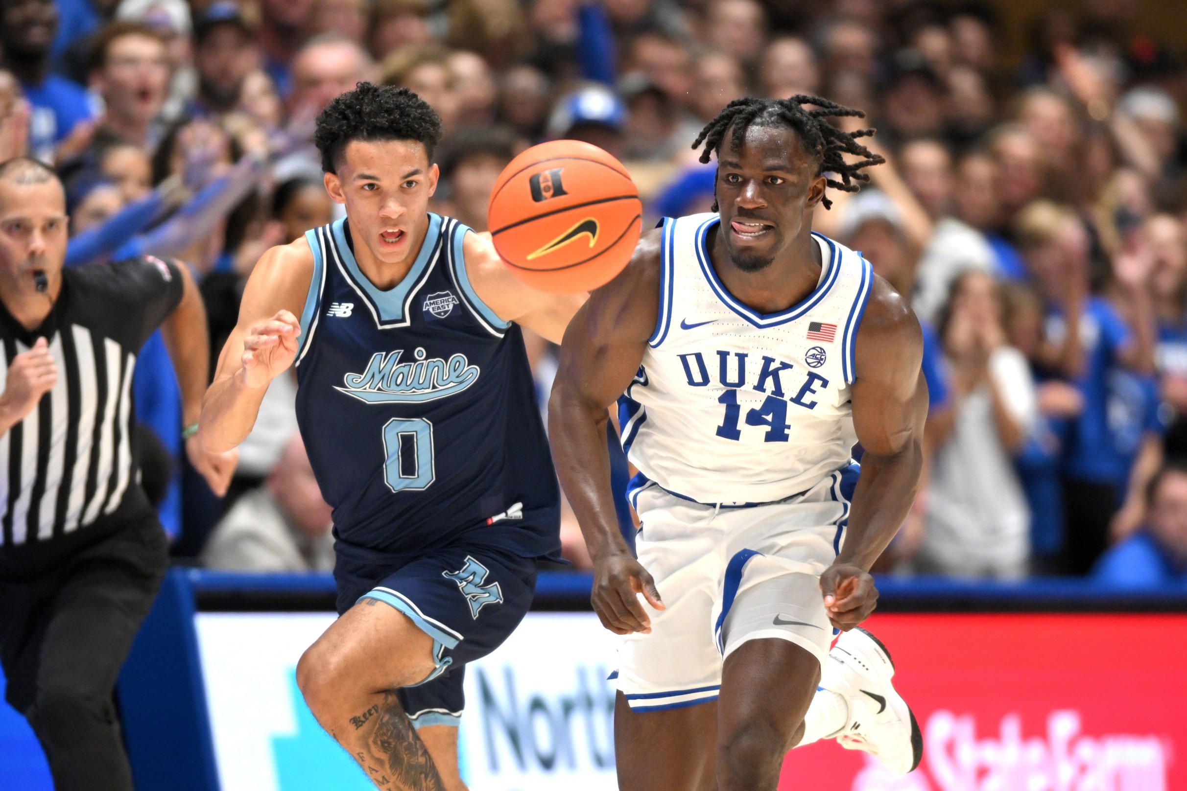 college basketball picks Logan Carey Maine Black Bears predictions best bet odds