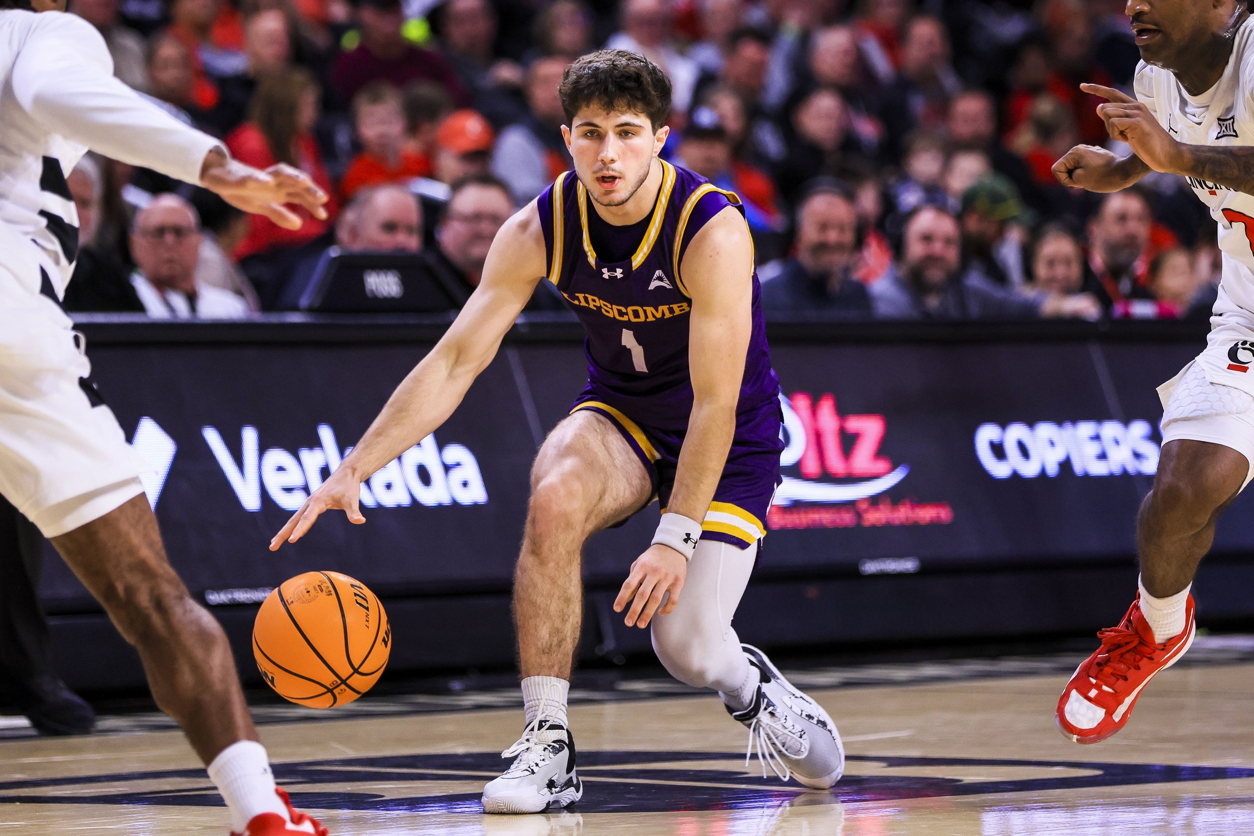 college basketball picks Mateo Esmeraldo Lipscomb Bisons predictions best bet odds