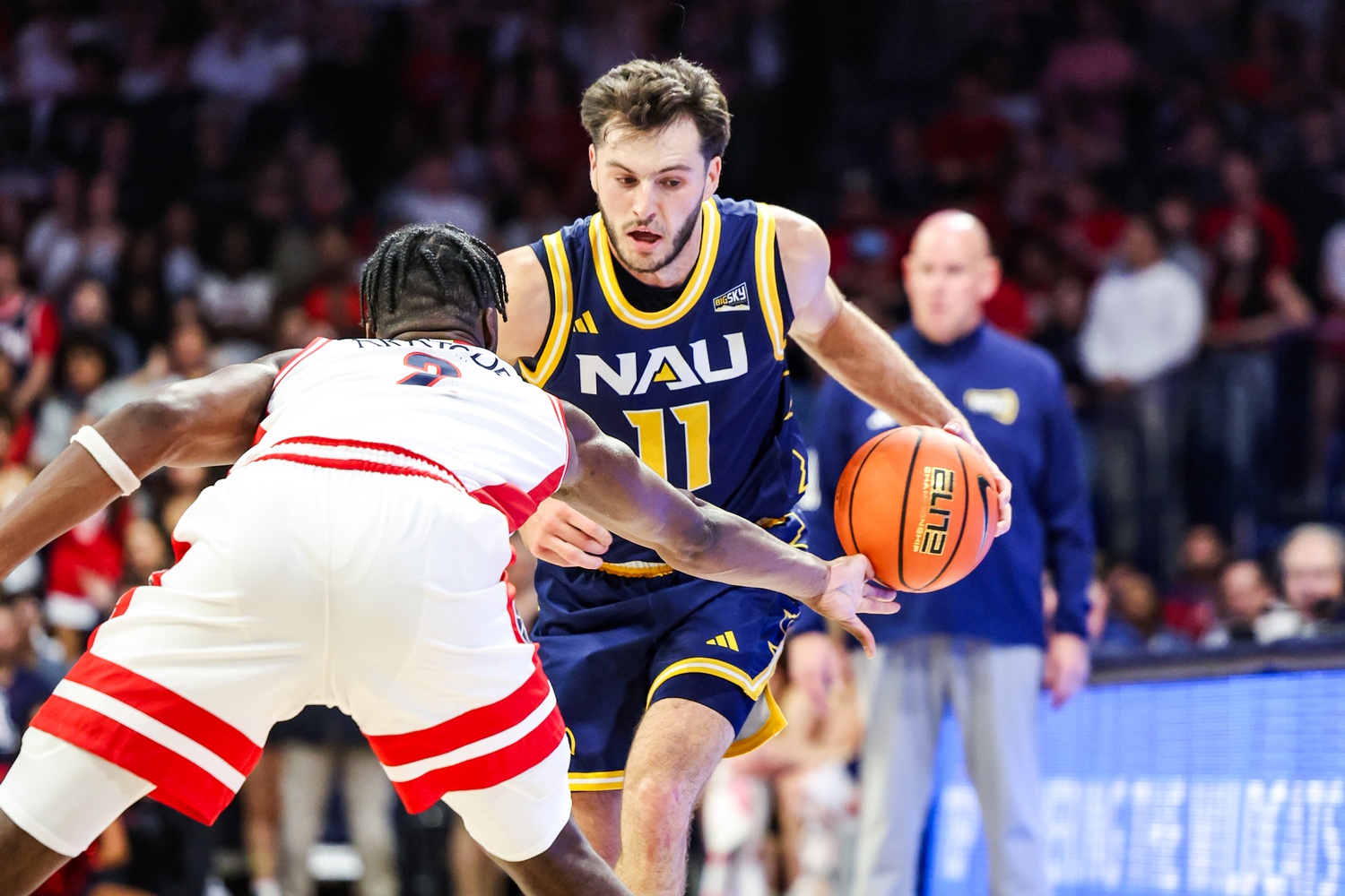 college basketball predictions Ryan Abelman Northern Arizona Lumberjacks odds