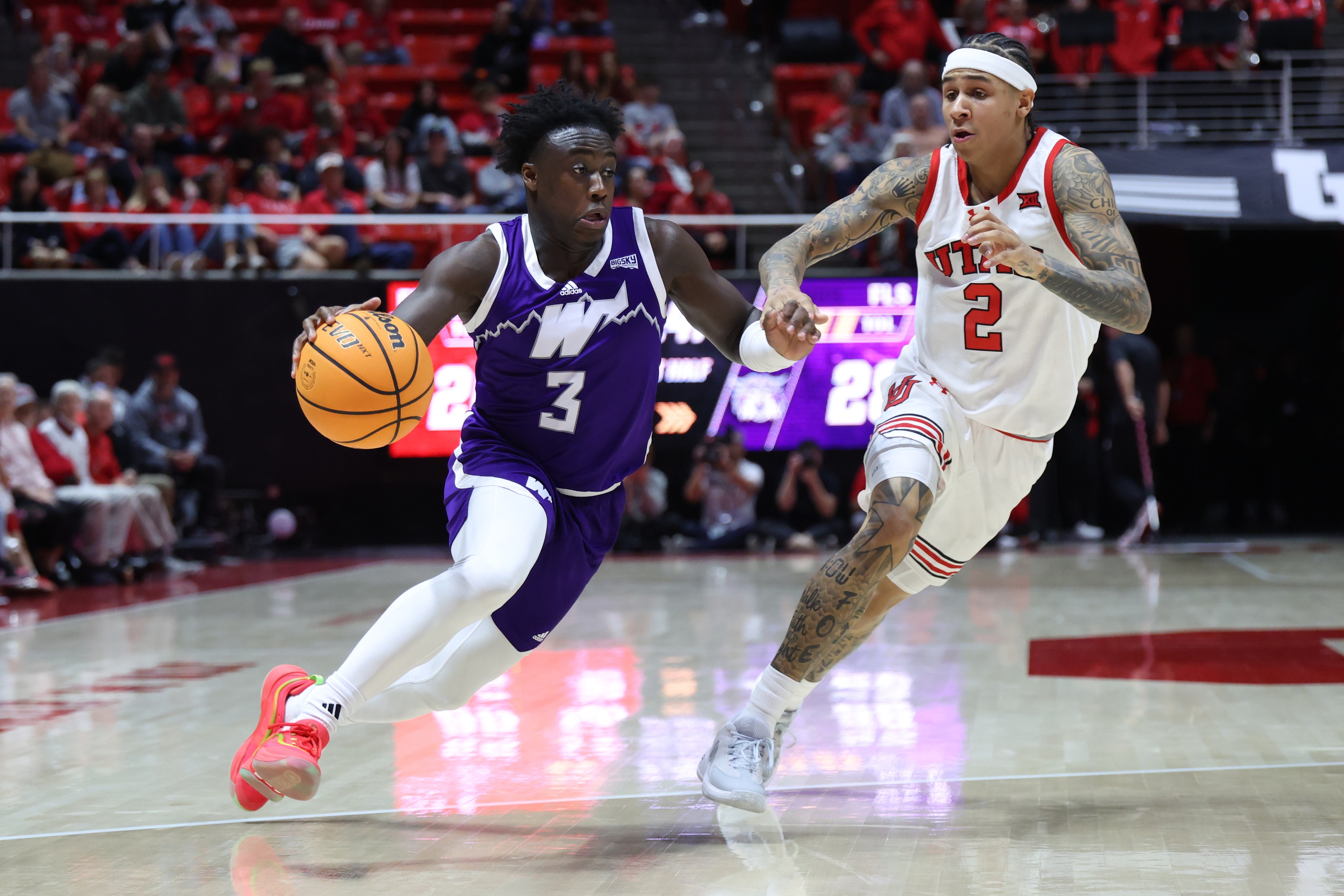 college basketball picks Tijan Saine Weber State Wildcats predictions best bet odds