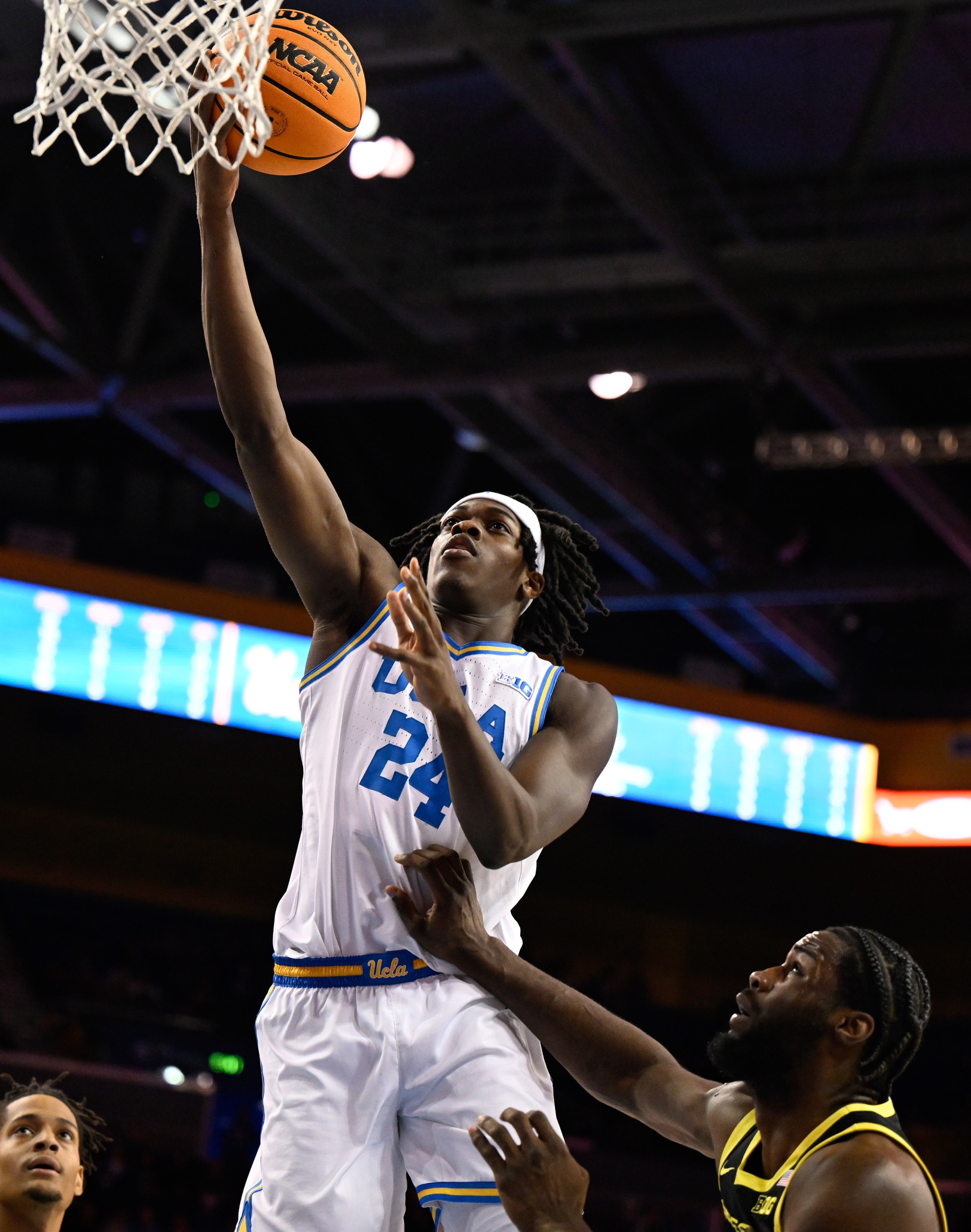 college basketball picks William Kyle UCLA Bruins predictions best bet odds