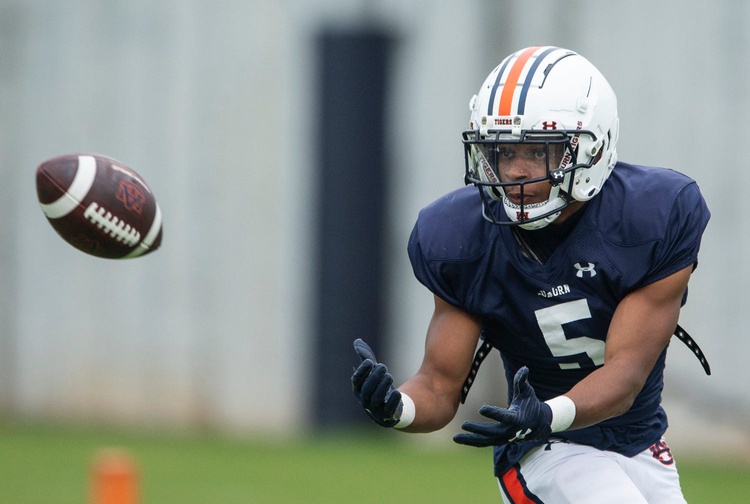 college football picks Jay Fair Auburn Tigers predictions best bet odds