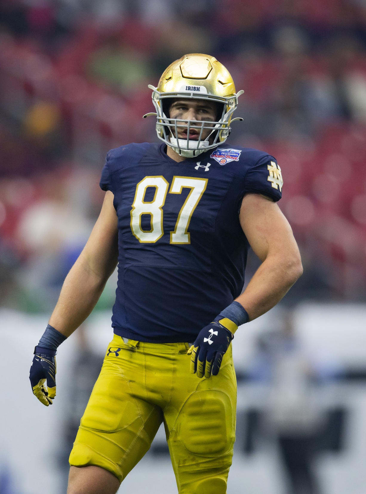 college football picks Michael Mayer notre dame fighting irish predictions best bet odds