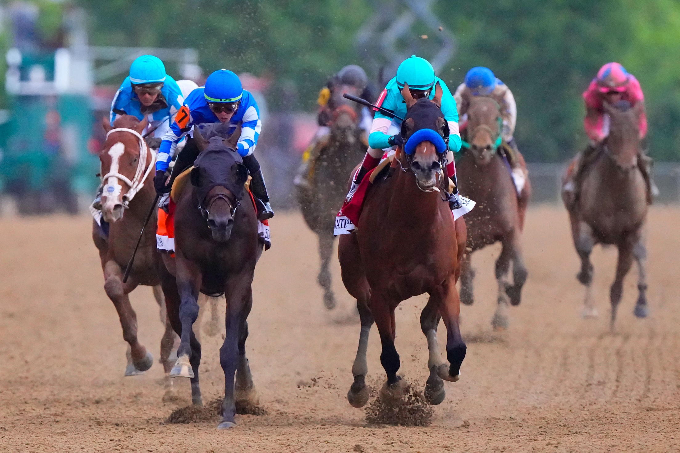 Horses that can win the Belmont Stakes National Treasure