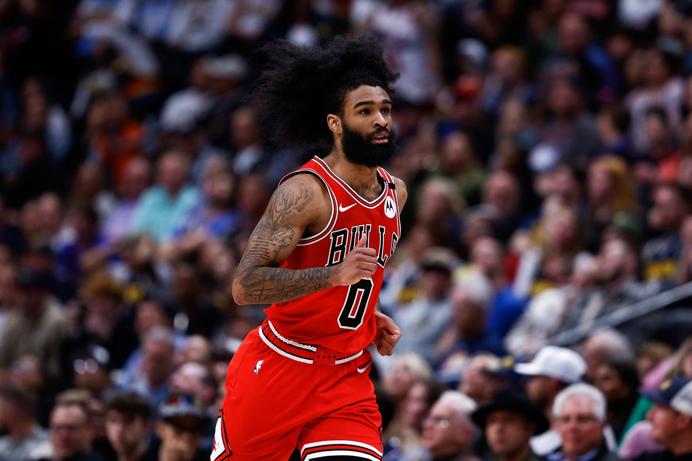 nba picks Coby White Chicago Bulls predictions best bet odds
