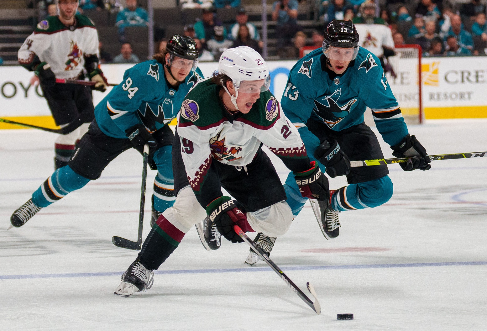 nhl picks Barrett Hayton Arizona Coyotes predictions best bet odds