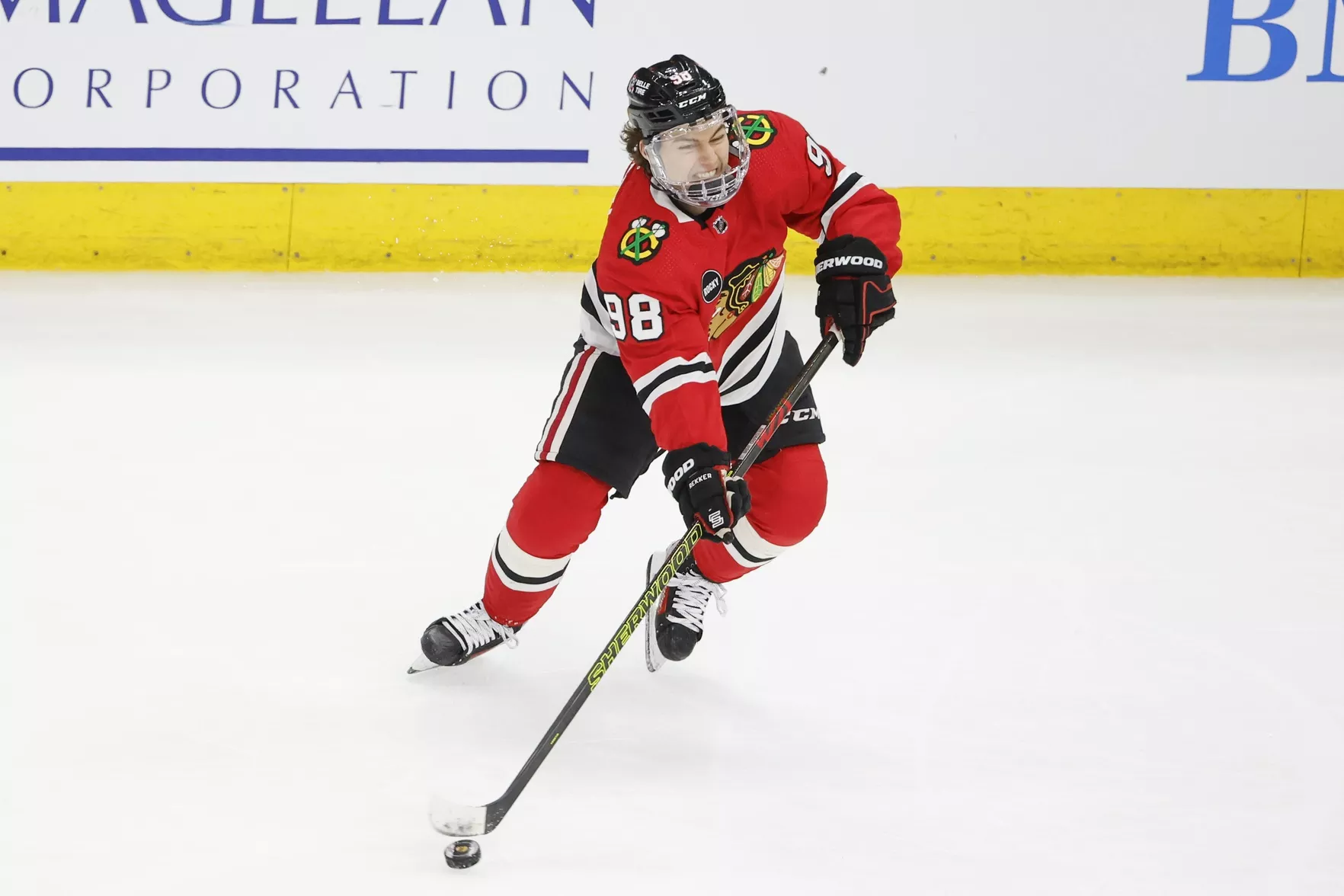 NHL Picks Connor Bedard Chicago Blackhawks Predictions Best Bet Odds