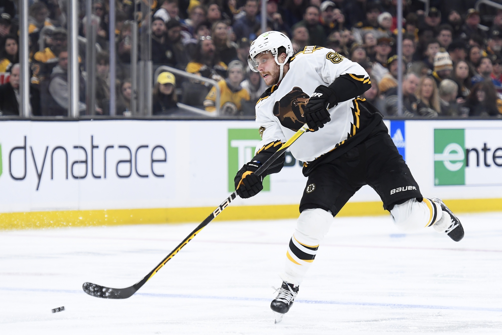 nhl picks David Pastrnak Boston Bruins predictions best bet odds